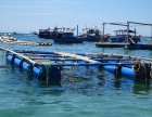 Truyền thông bảo vệ rạn san hô gắn với phát triển du lịch