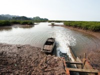Quản lý môi trường đới bờ tại Việt Nam